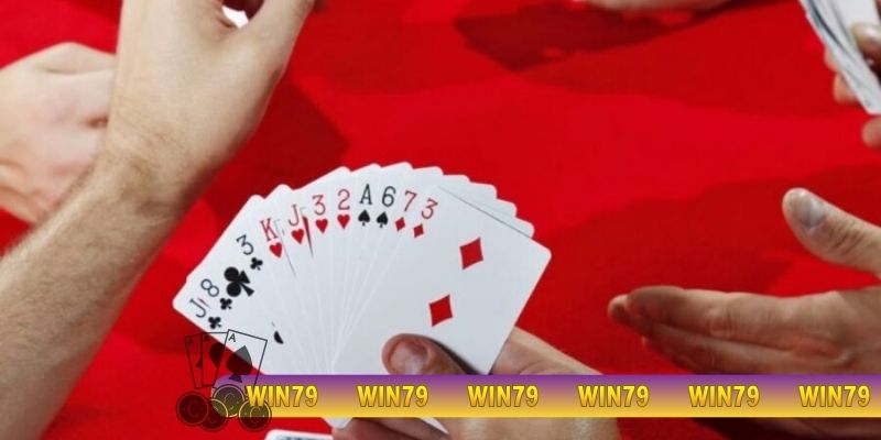 Vì sao tiến lên miền bắc luôn cực hot?
